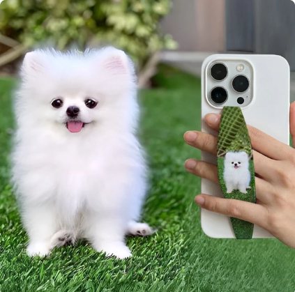 Strap printed with a dog photo